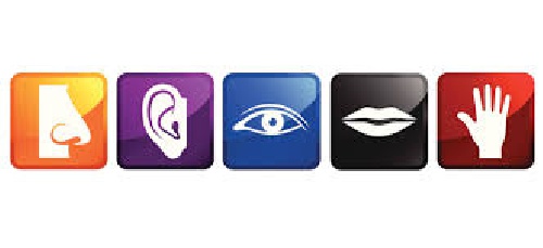 دانلود پرسشنامه استاندارد بازاریابی حسی(ترجمه مقاله بیس)