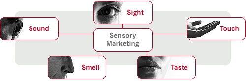 دانلود پرسشنامه تأثیر ابعاد بازاریابی حسی بر بهبود به یادسپاری پیام‌های تبلیغاتی
