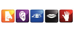 دانلود پرسشنامه استاندارد بازاریابی حسی(ترجمه مقاله بیس)