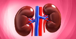 دانلود پاورپوینت بدن ما(2) - کتاب علوم چهارم دبستان