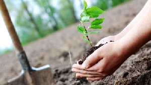 دانلود گزارش کارآموزی در شرکت فعالان سبزاندیش