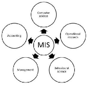 دانلود پاورپوینت سیستم‌های پردازش تعاملات(سمینار درس سیستم های اطلاعاتی مدیریت)